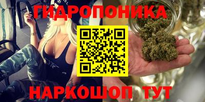 амф Туймазы