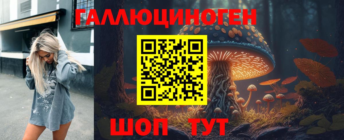 Псилоцибиновые грибы GOLDEN TEACHER  Вход с VPN  Москва 