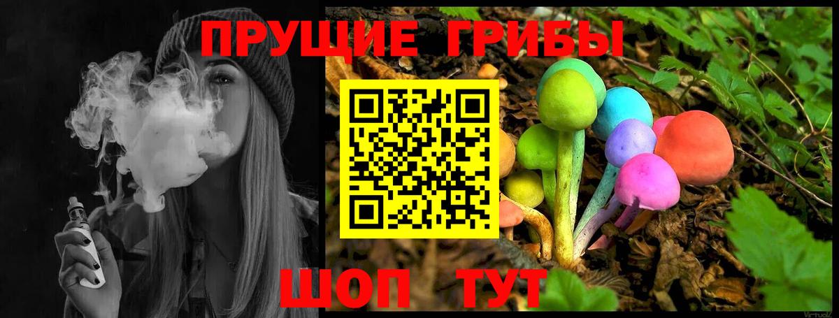 Псилоцибиновые грибы GOLDEN TEACHER Москва