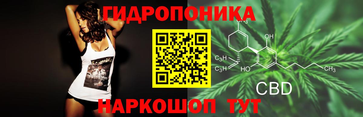 МАРИХУАНА сатива Москва